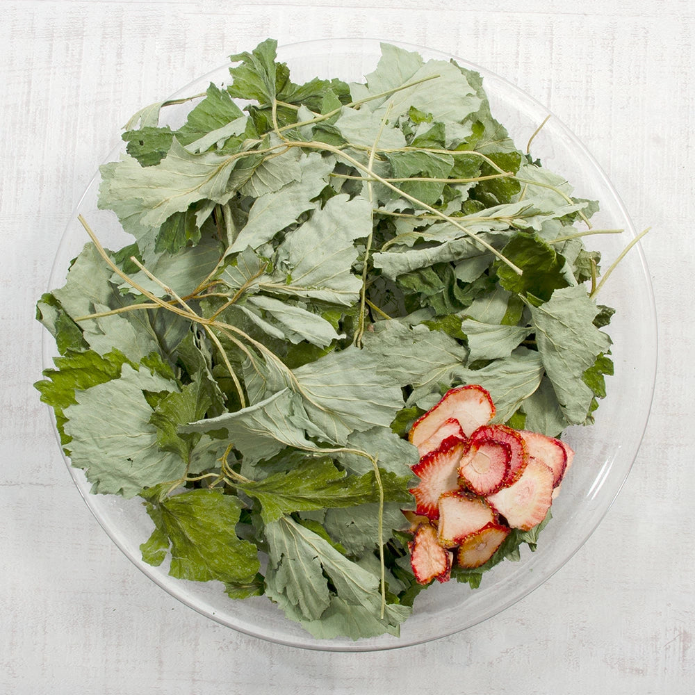 日本Leaf Corp 草莓葉和果實40克