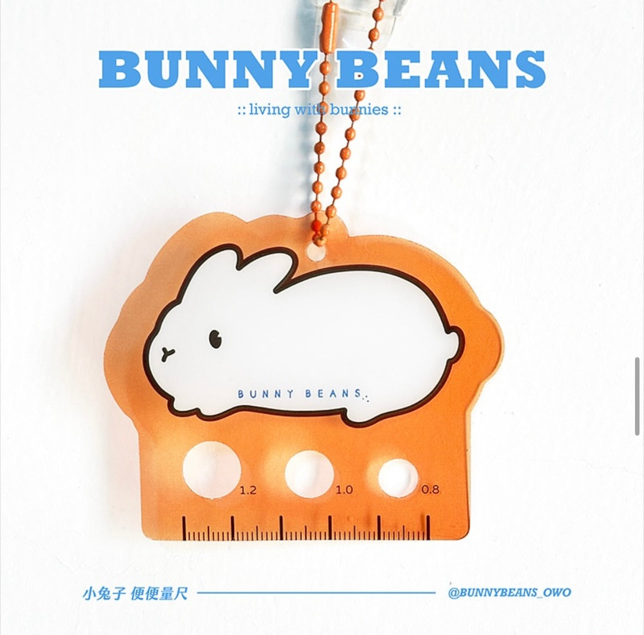 台灣Bunny Beans 量大便器