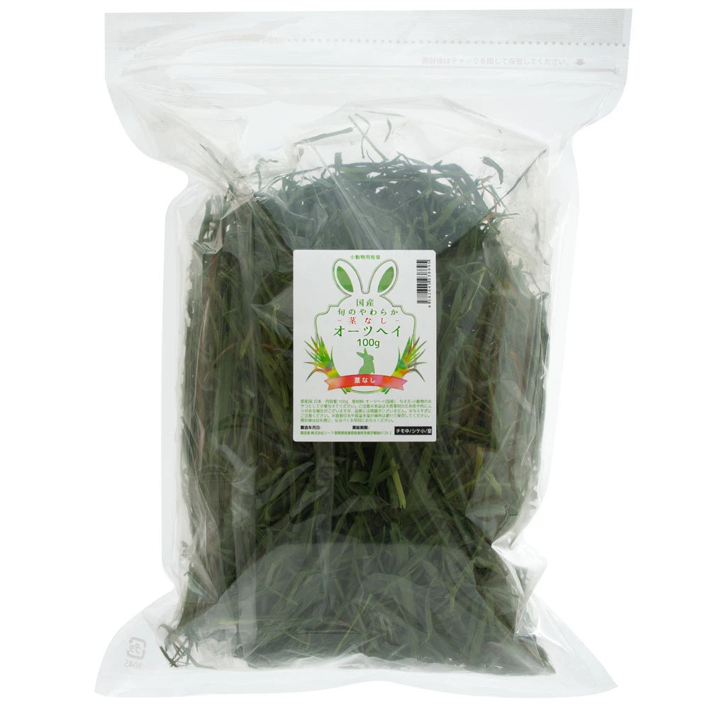 日本Leaf Corp 脆嫩綠燕麥草 100G