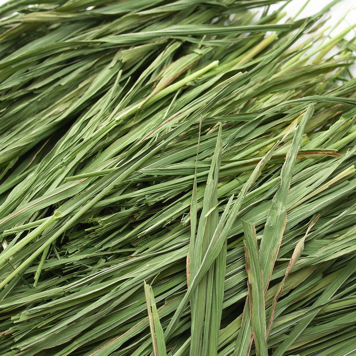 日本Leaf Corp 霜降燕麥草 100G