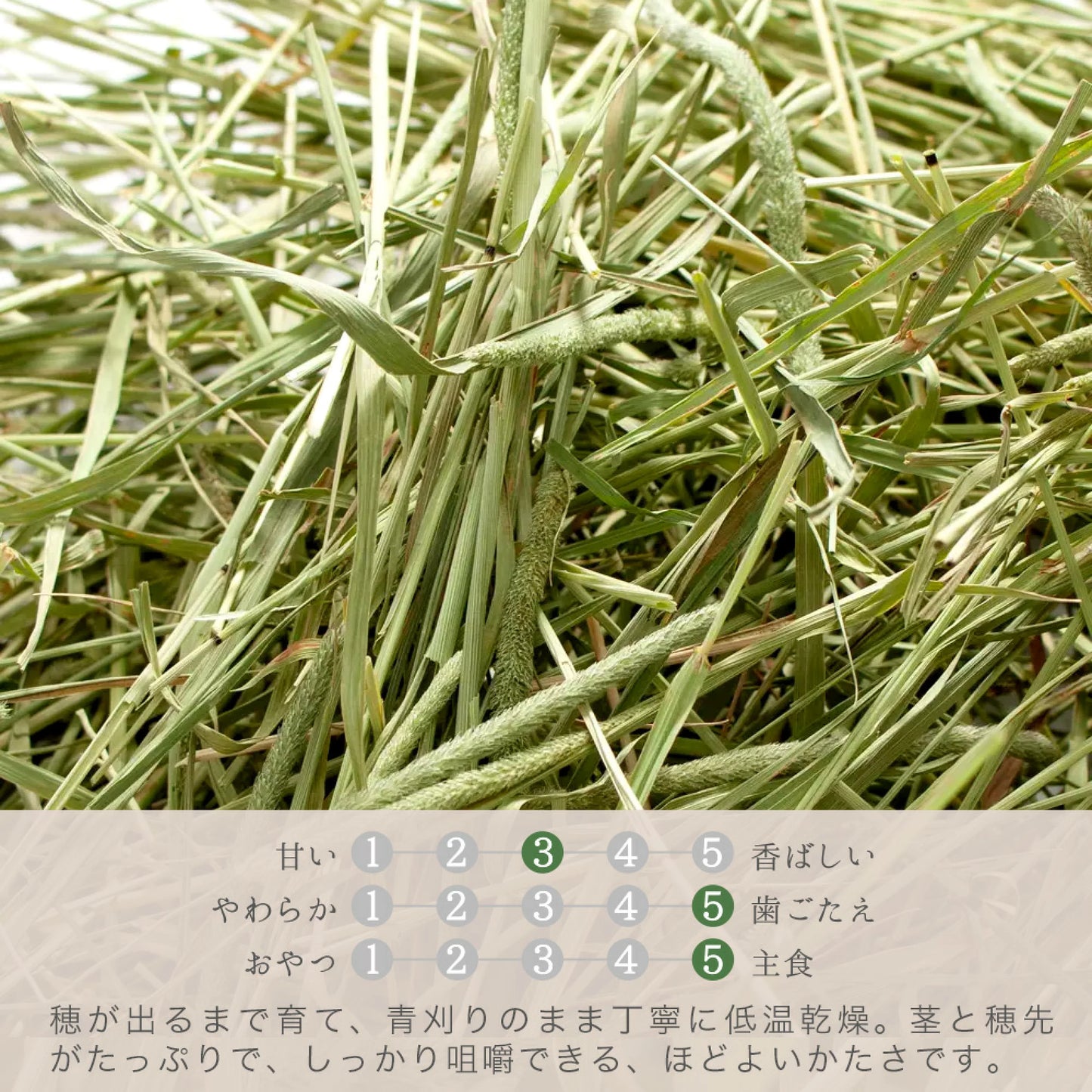 日本Leaf Corp 青割提摩西草