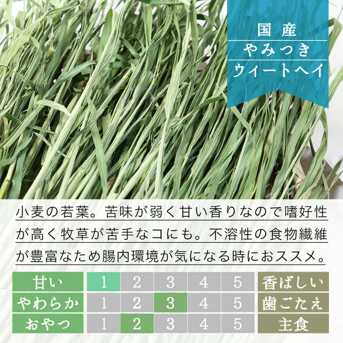 日本Leaf Corp 上癮小麥若葉 小麥草