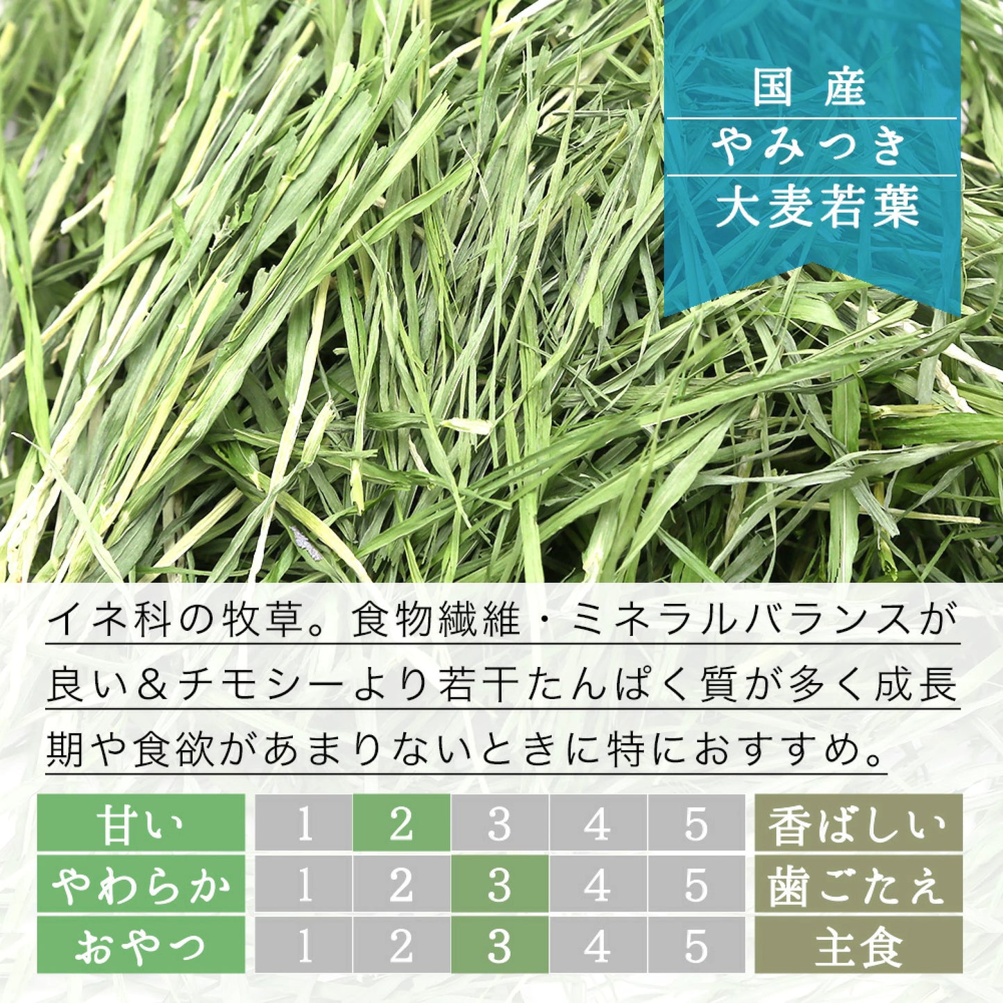 日本Leaf Corp上癮大麥若葉 100G