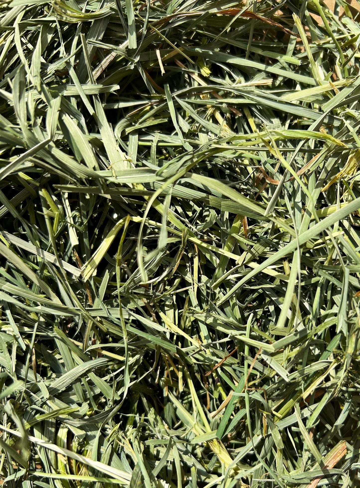 美國Round Lake Farm Premium 果園草 (510G/1.3KG)
