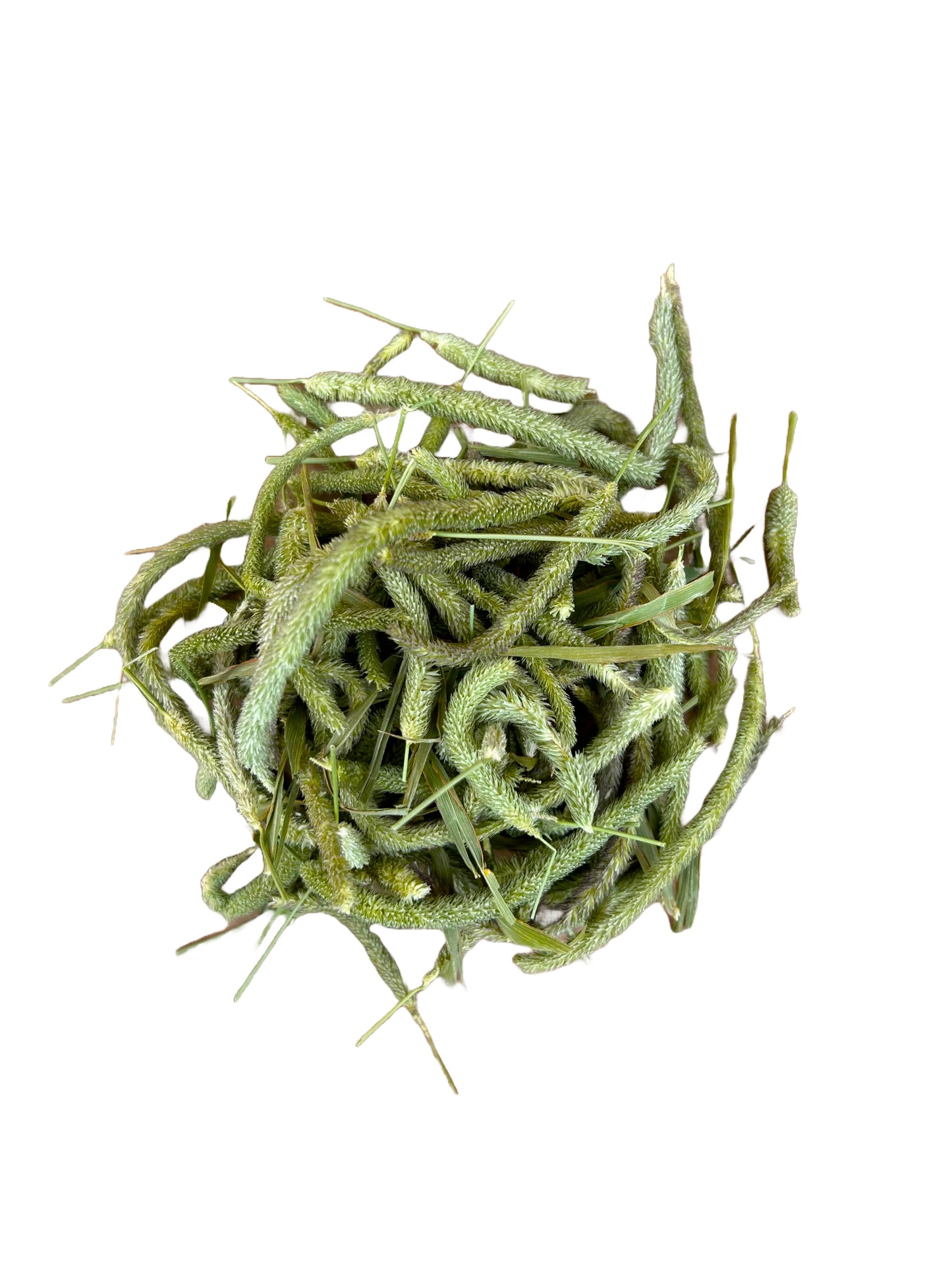 美國Round Lake Farm Premium 提摩西草花穗棉棉條10G