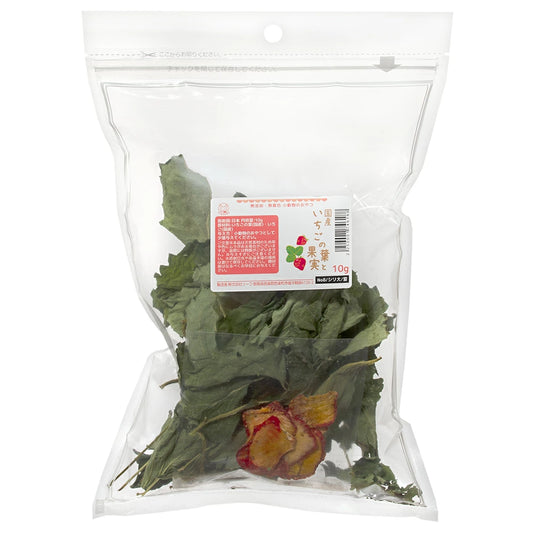 日本Leaf Corp 草莓葉和果實