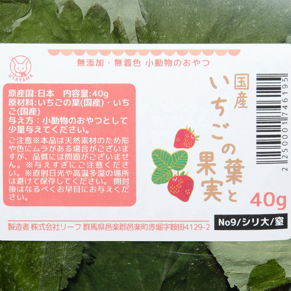日本Leaf Corp 草莓葉和果實40克