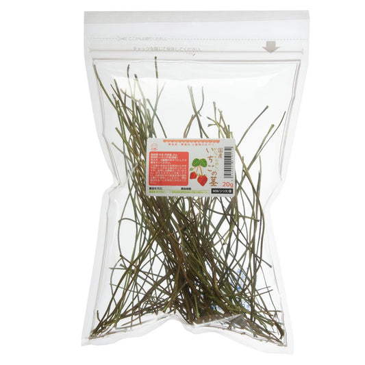 日本Leaf Corp 草莓葉莖