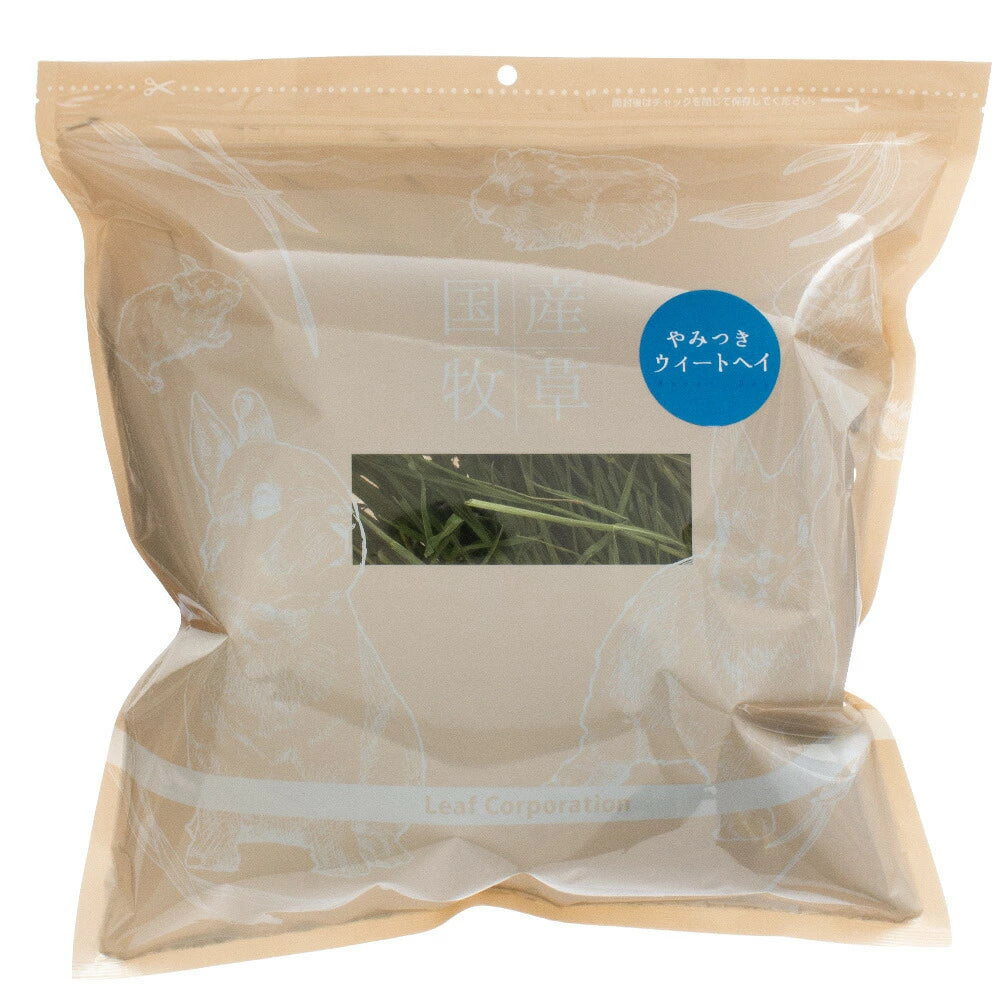日本Leaf Corp 上癮小麥若葉 小麥草