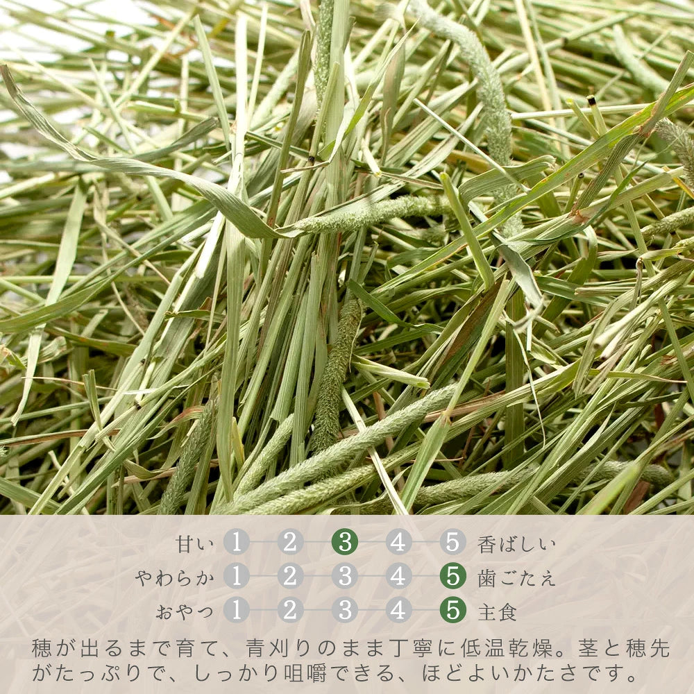 日本Leaf Corp 青割提摩西100G