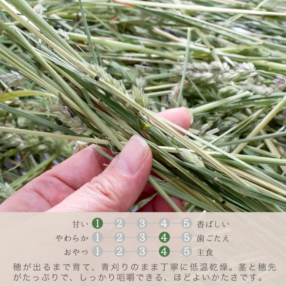 日本Leaf Corp 青割果園草100G