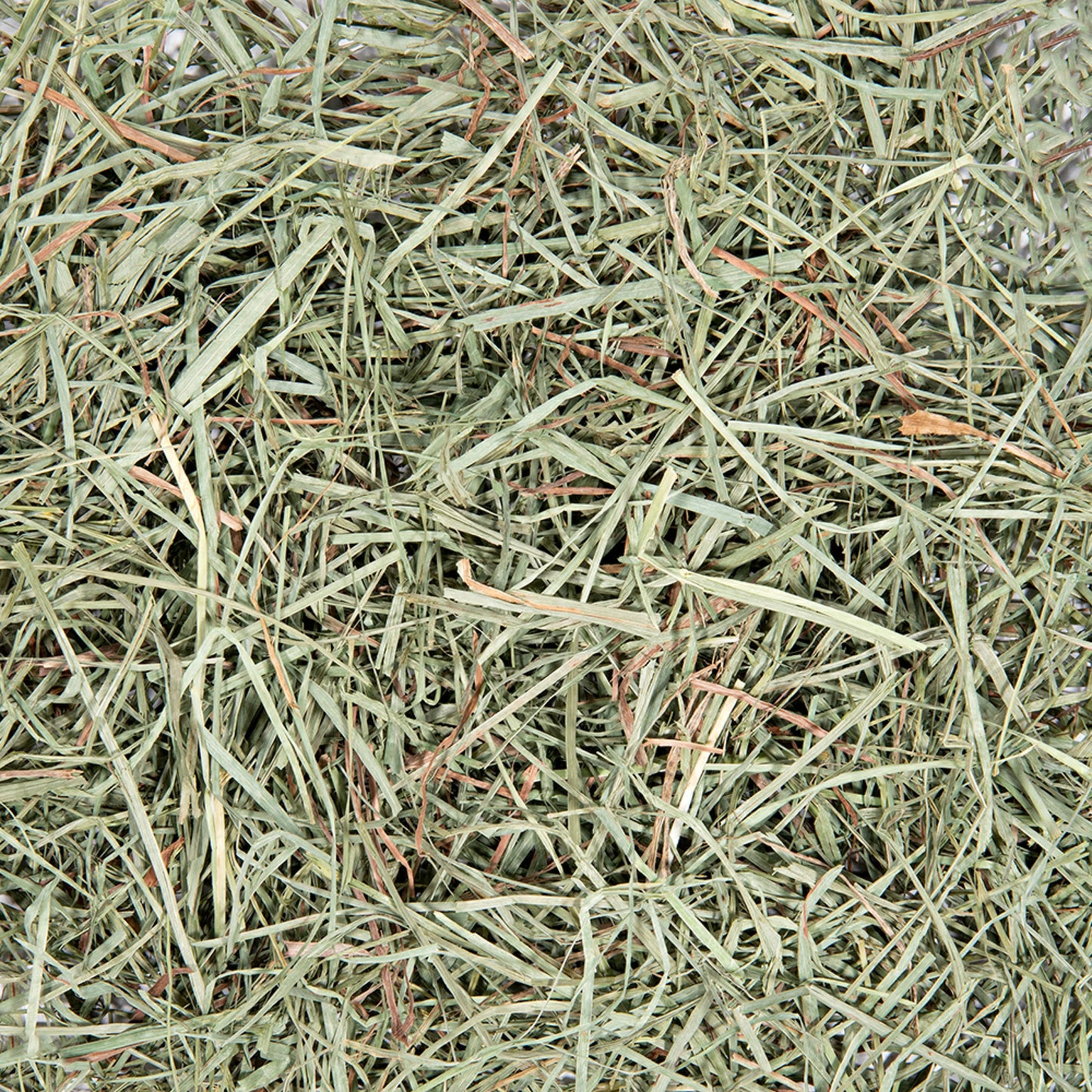 日本Orimitsu 果園草600G