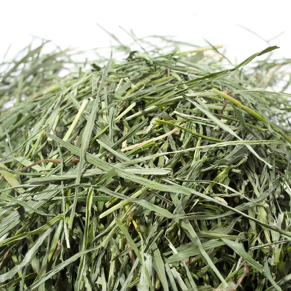 日本Leaf Corp 燕麥草x黑麥草200g￼￼￼