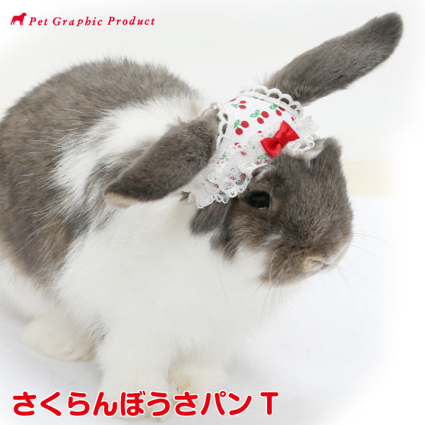 Pet Graphic Products 兔仔內褲帽子 頭飾