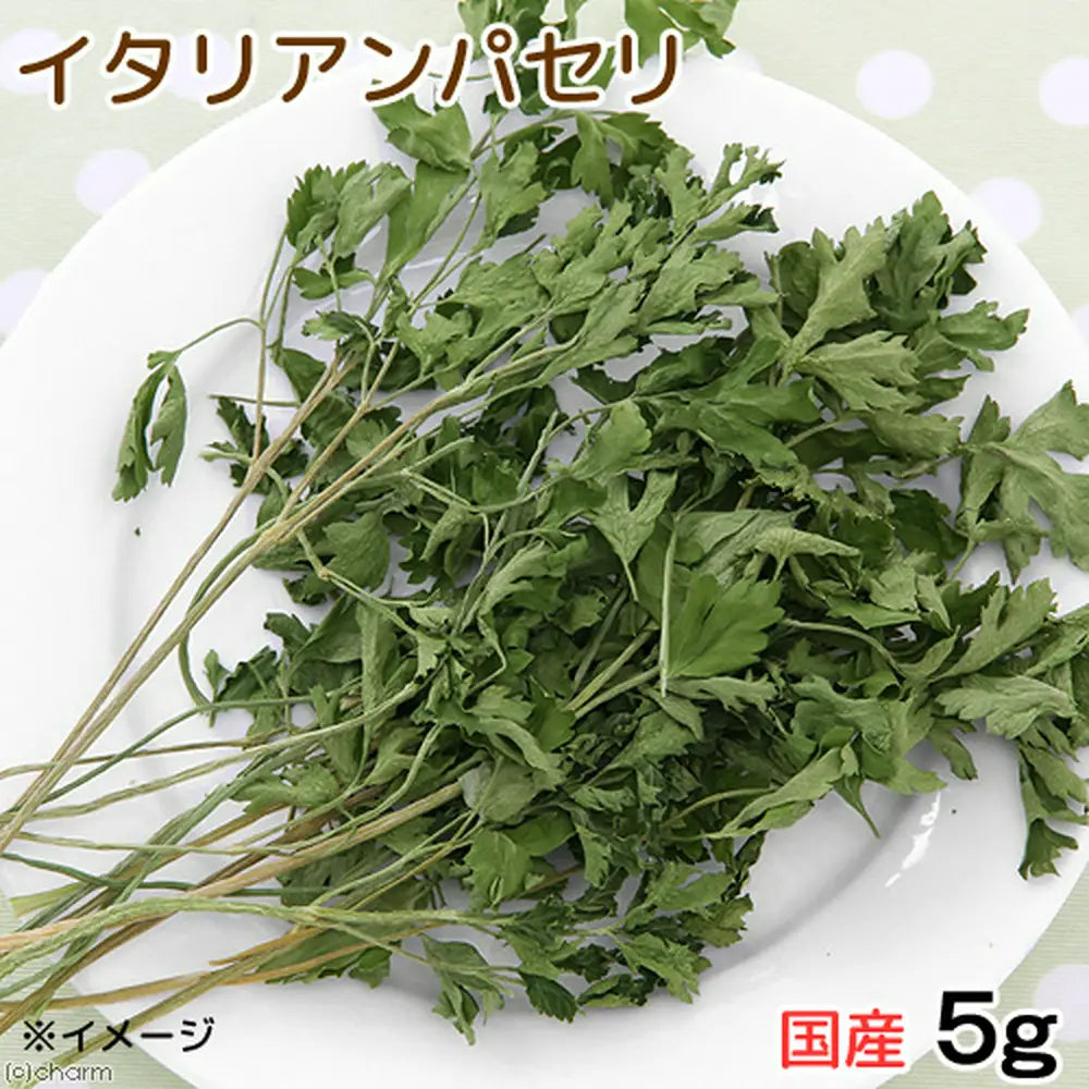 日本Leaf Corp 國產義大利香菜(蕃茜)